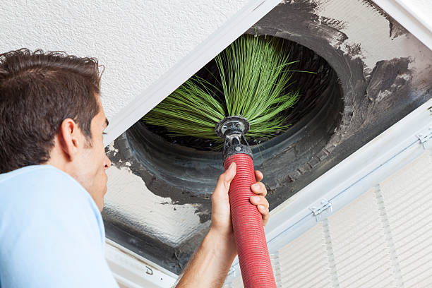 Best Ductwork Cleaning Services  in Maysville, NC