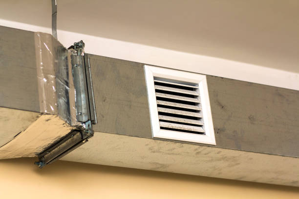 Best Home Air Vent Cleaning  in Maysville, NC